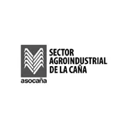 Asocaña