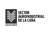 Asocaña